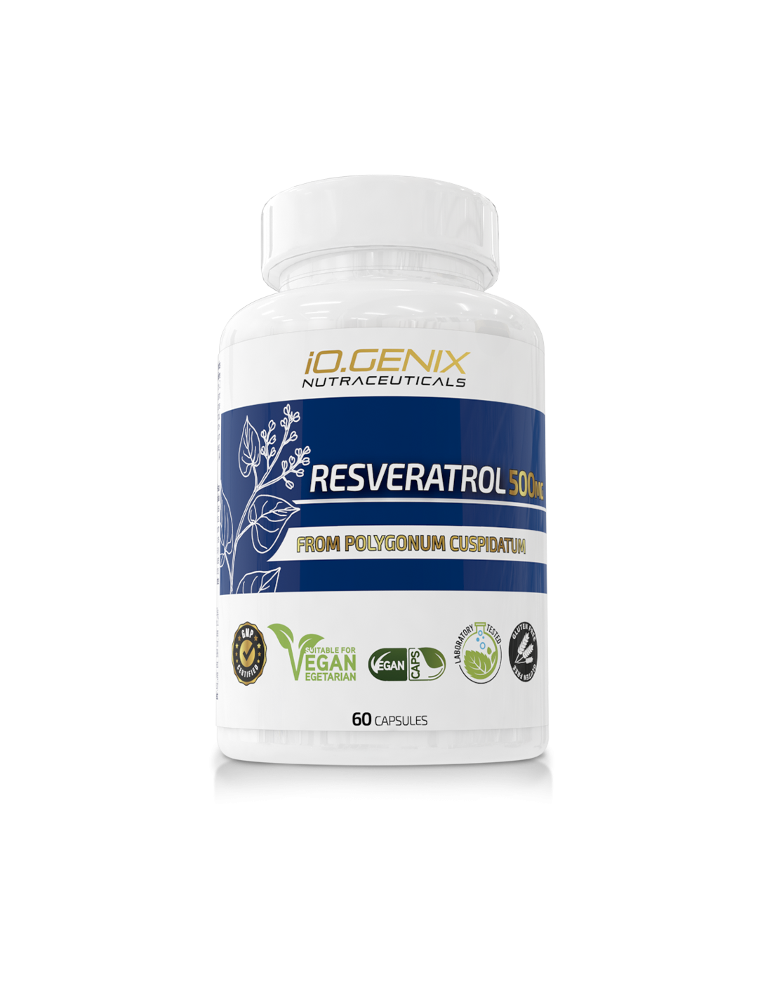RESVERATROL 500MG 60CAPS - 10+ Nutrición